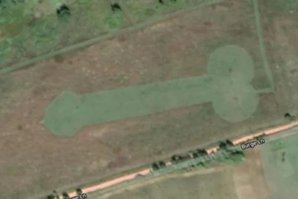 Pênis em plantação
