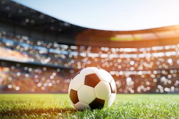 Várias pessoas querem apostar na final da Copa do Brasil 2023