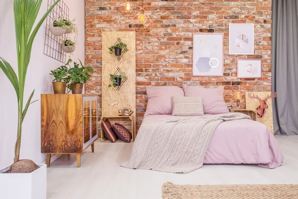 Saiba quais são as melhores plantas para te ajudar a dormir bem