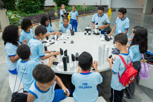 Arte de Sergio Camargo chama atenção de alunos da rede pública do DF
