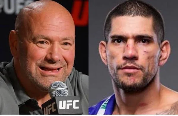 Dana White sobre Alex Poatan: “Ele tem o olhar de assassino”