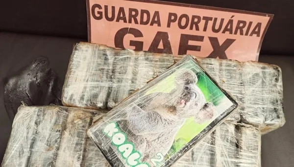 23kg de cocaína são jogadas na Baía de Guanabara por bandidos em fuga