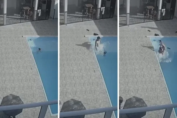 Imagem colorida de mãe tentando salvar criança na piscina - Metrópoles
