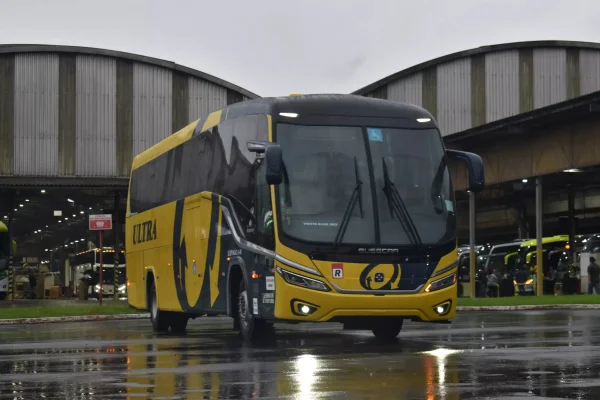 Imagem colorida de ônibus