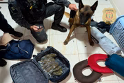 Buscas na casa do investigado
