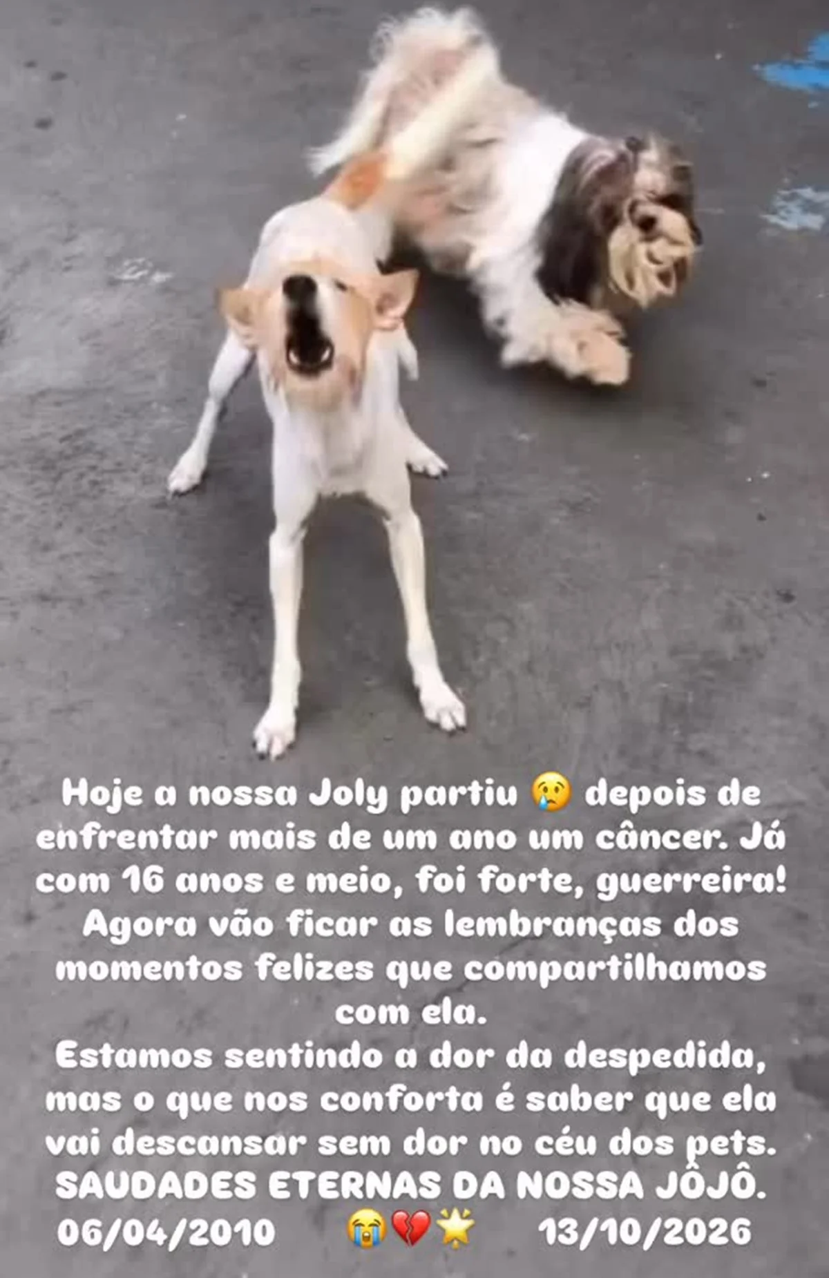 Margareth Serrão contou que Joly tinha 16 anos e teve câncer Margareth Serrão contou que Joly tinha 16 anos e teve câncer