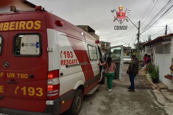 Criança de 7 anos é atacada por pit-bull de vizinho no DF