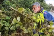 Nas redes sociais, Frota (PDT) passa a imagem de um vereador atuante nas ruas, inclusive podando árvores e ajudando a tapar buracos no asfalto 