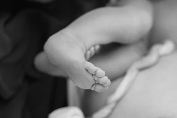 Corte Interamericana julga clínica do Brasil pelas mortes de 96 bebês