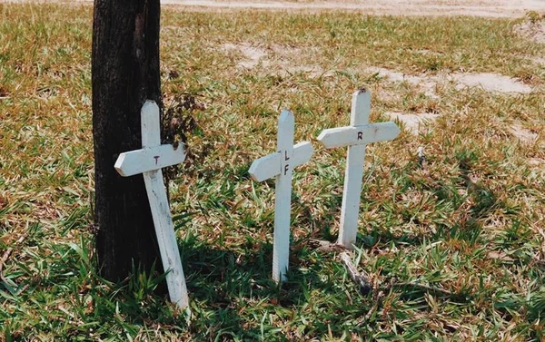 Número de mortes confirmadas em Brumadinho sobe para 225