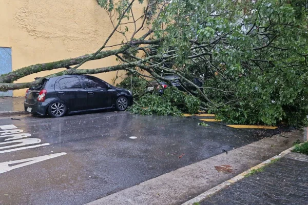 Na capital paulista, cerca de 125 mil clientes estão sem luz. Estado de São Paulo está em alerta para chuva forte desde segunda-feira (2/12) - Metrópoles