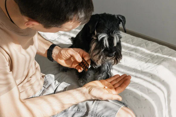 Foto colorida de um homem dando comprimido para cachorro - Metrópoles