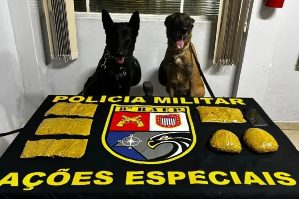 Imagem colorida mostra cães farejadores da PM após encontrarem drogas no corpo de uma mulher dentro de ônibus - Metrópoles