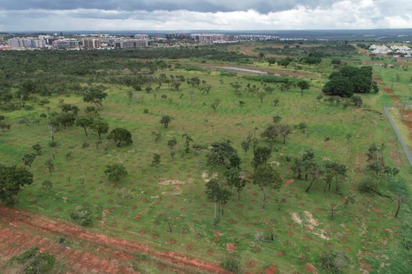 parque