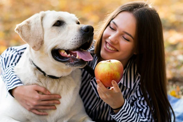 Imagem colorida de tutora oferecendo maça para seu cachorro
