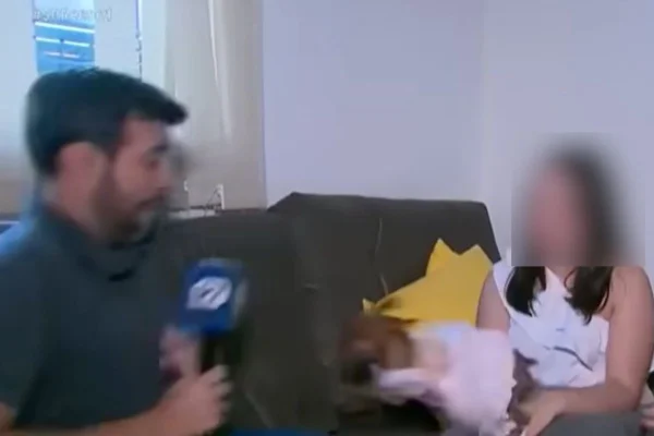 Imagem colorida mostra cão da raça Pinscher durante gravação de reportagem no interior de São Paulo - Metrópoles