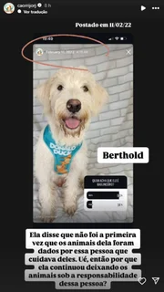 Letícia Sabatella desabafa após veterinária confessar crime: “Doeu” - imagem 3