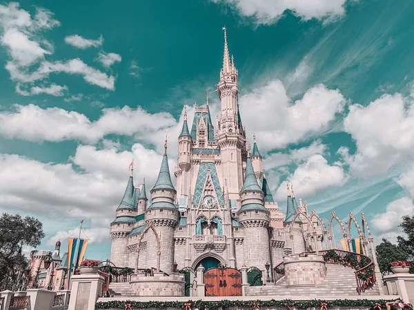 Castelo disney