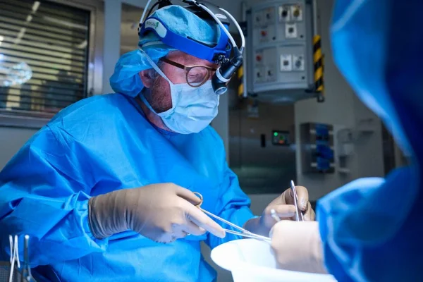 Médicos xenotransplante rim de porco