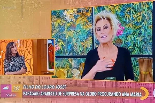 Ana Maria Braga no Encontro