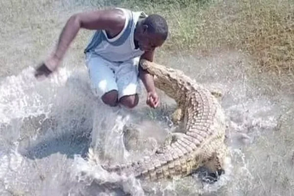 Imagem colorida de homem sendo atacado por crocodilo - Metrópoles