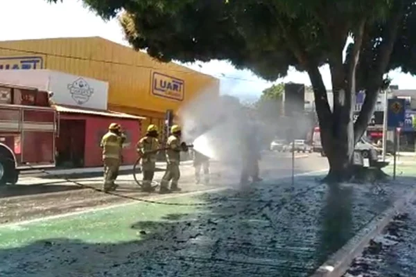 Bombeiros esguicham água em enxame de abelhas em Sobradinho - Metrópoles