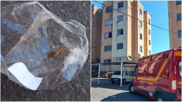 Escorpião escondido em fronha de travesseiro pica mulher em MG