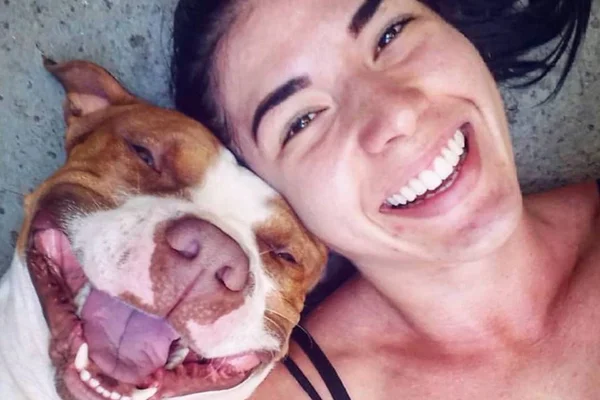 Conheça Sansão, o pit-bull sorridente que está conquistando a web