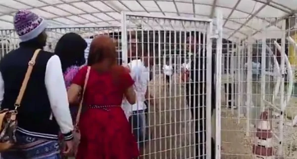Combate ao racismo é tema de redação na 2ª prova do Enem