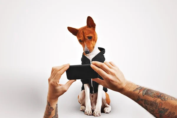 cachorro tirando foto