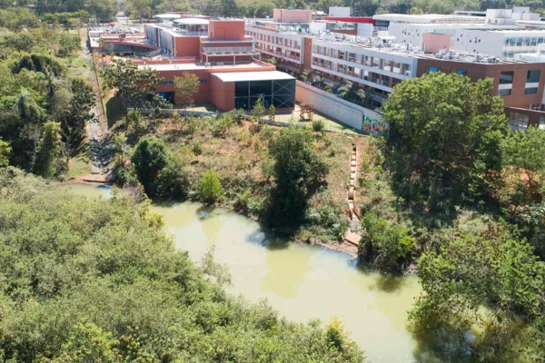 Desmatamento Parque da Asa Sul colégio Eleva