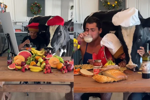 Imagens coloridas de influencers na cozinha com boi