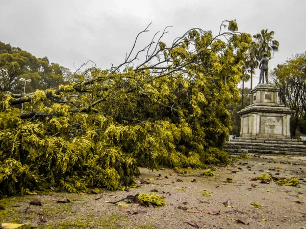 Vídeos: chuva forte alaga hospital, escola e ruas em Ceilândia