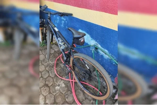 bicicleta