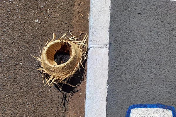 Morador de rua arremessa chapéu recheado de fezes em prédio no DF