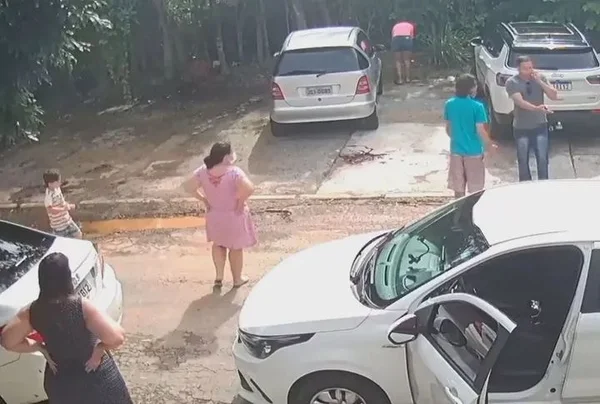 menino atacado por cão