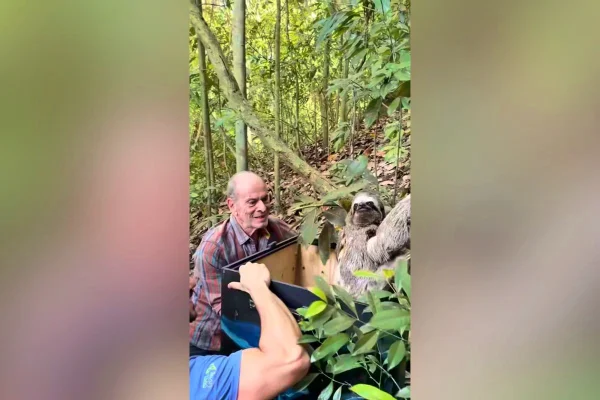 Ney Matogrosso mantém propriedade dedicada à preservação ambiental