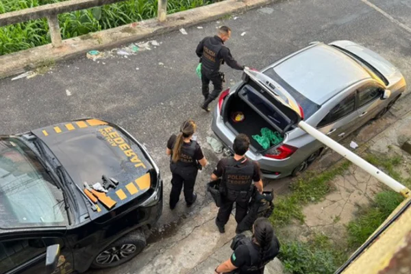 Servidor é preso pela PF por participar de desmatamento ilegal