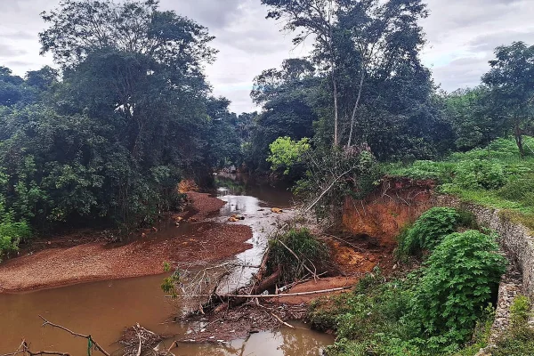 GDF abre edital para recuperar vegetação na Bacia do Rio Melchior
