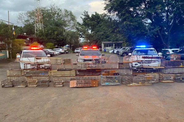 gaiolas empilhadas a frente de carros da polícia