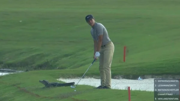 Golfista é forçado a fazer jogada com jacaré a poucos metros; veja