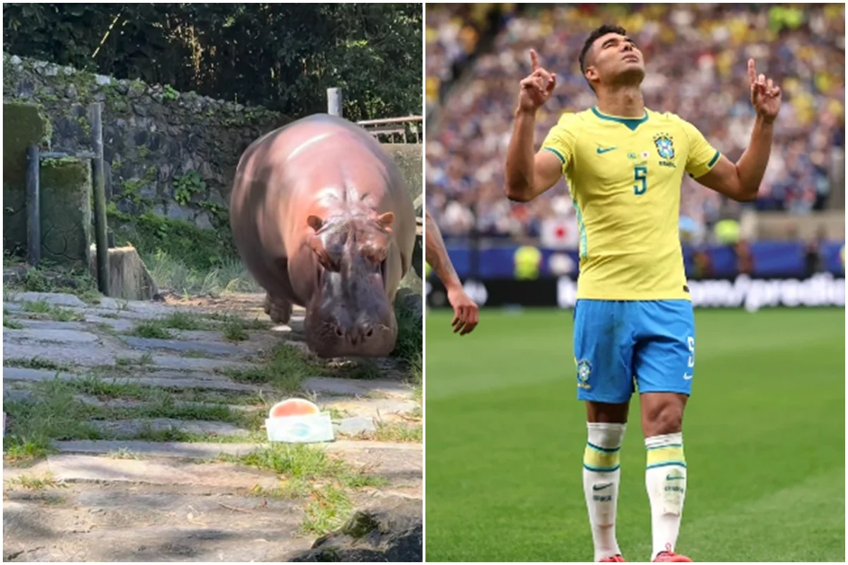 Imagem da Notícia