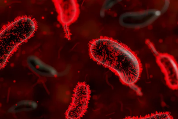 Projeção mostra bactérias na corrente sanguínea humana
