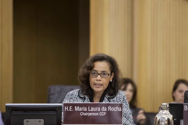 A embaixadora Maria Laura da Rocha durante sessão da ONU em Roma, na Itália, em 2016