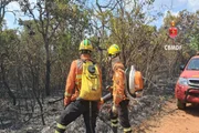 Corpo de Bombeiros mobilizou 30 militares e cinco viaturas para combater as chamas