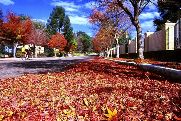 Foto colorida de outono em Gramado, no Rio Grande do Sul - Metrópoles