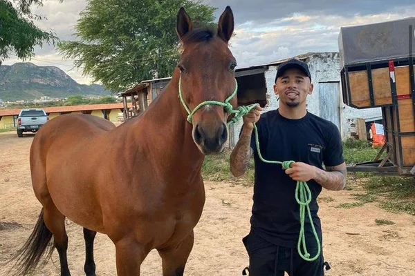 Gabriel Jesus investe em raça de cavalos de R$ 150 mil cada