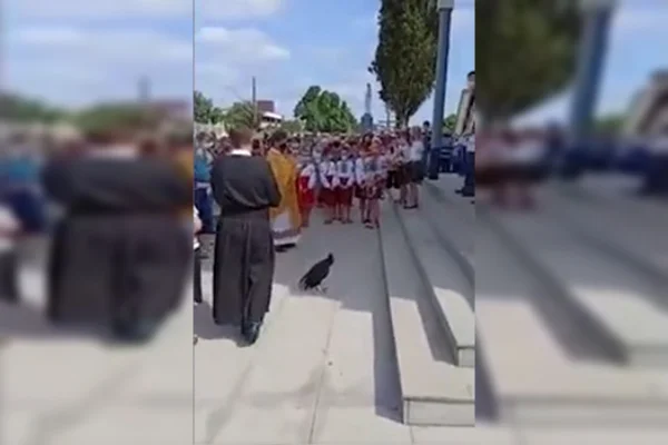Vídeo: urubu é flagrado acompanhando missa no interior do Paraná