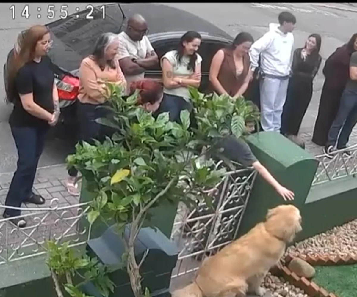 “Golden do portão” vira queridinho das redes e recebe 200 visitas em 2 dias - imagem 3 “Golden do portão” vira queridinho das redes e recebe 200 visitas em 2 dias - imagem 3