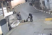 Em seguida, ela puxa a bolsa da mulher, fazendo com que ela caísse ao chão
